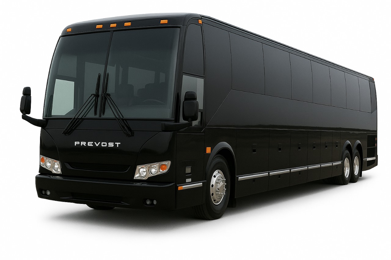 WhatsApp Image 2025-09-13 at 11.02.06 AM (1)