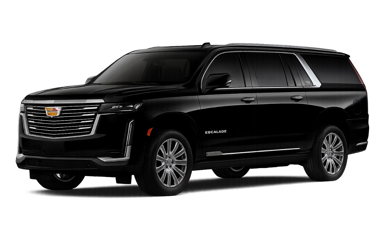 WhatsApp Image 2025-09-13 at 11.02.07 AM